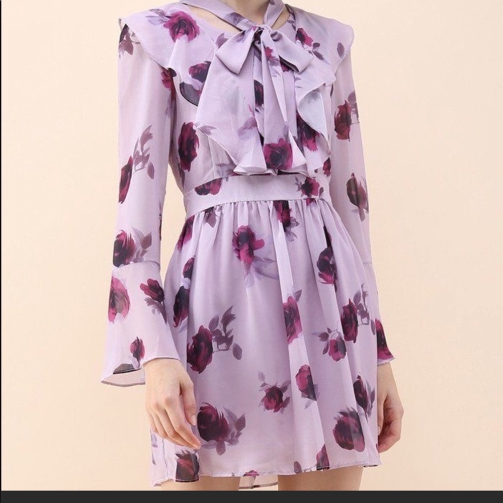 ChicWish Rose Ruffle Chiffon Dress!!!